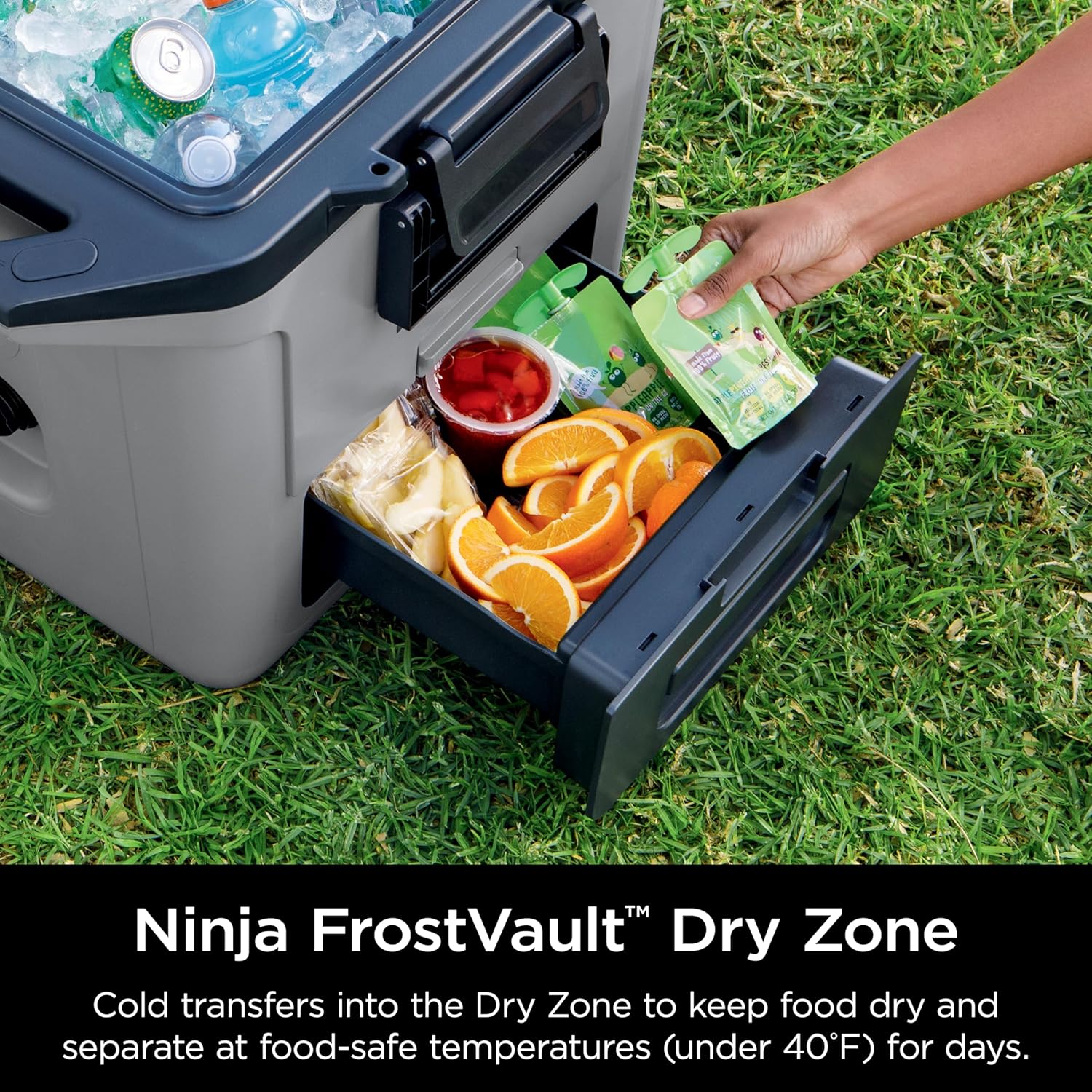 Hard Cooler with Dry Zone