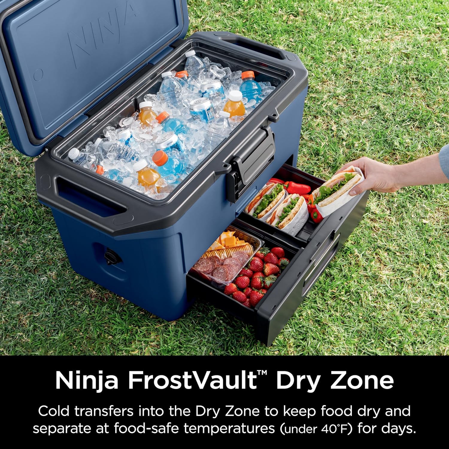 Hard Cooler with Dry Zone