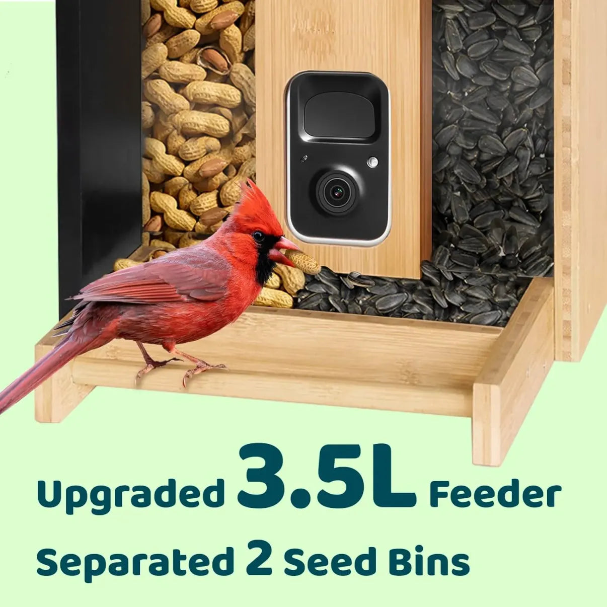 ✨2024 Hot SALE ✨AI Smart Bird Feeder with Camera Solar Powered