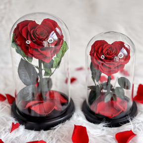 Heart Shape Preserved Rose In Glass Dome With Heart Love Necklace⭐