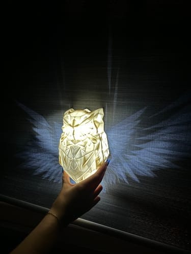 Spread The Wings Modern Luminous Lamp，Halloween Decoration Night Lights