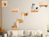 Cat Shelves for Wall