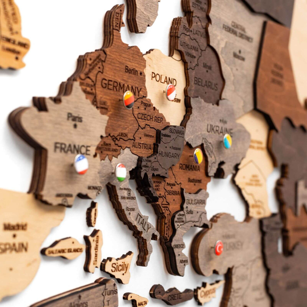 3d world map multicolor